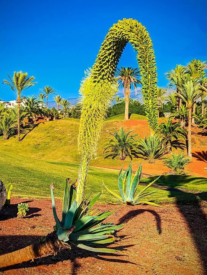 Amarilla Golf Suite 산미겔데아보나 0*,  스페인